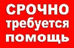 Услуги объявление но. 3196004: Помощь на сво рф детям в зоне военных действий