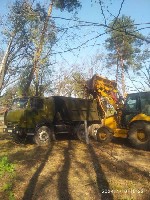 Бытовые услуги объявление но. 3141397: Спил дерев Київ.  Розчищення ділянок.