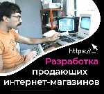 Ремонт компьютеров, техники, электроники объявление но. 3320246: Создадим интернет магазин для вашего бизнеса