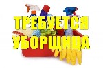 Требуемый опыт работы:  не требуется
Полная занятость,  полный день
Обязанности:  
• Сухая влажная уборка школьных классов,  холла,  туалетов,  лестница,  раздевалки,  столовая;  
• Чистка ковровы ...