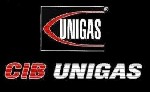 CIB UNIGAS – лидер по производству газовых горелок для промышленных котлов с 1972г.  

Горелки предназначены для работы на водогрейных и паровых котлах разных типов производства СССР,  Украины и Евр ...