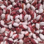 Предлагаем на продажу сельхоз продукцию из Узбекистана: бобовые культуры- фасоль красная королевская, маш зеленый, сушеный фрукты, орешки, миндаль и ядра, сушеная дыня, полусоленые абрикосовые косточк ...