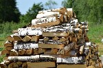 Строительные материалы объявление но. 3064862: Берёзовые дрова в подольске климовске чехове